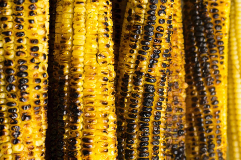 Grilled corn