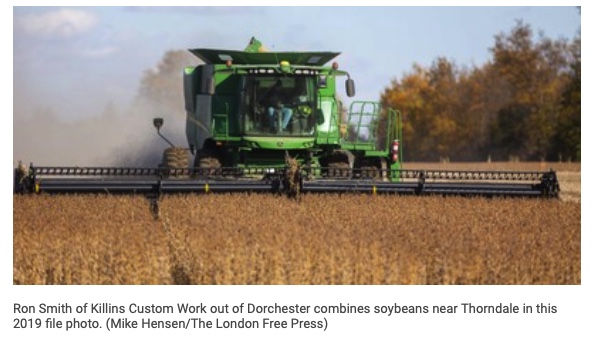 Featured image for “Grain farmers eye bumper harvest, vegetable growers less hopeful”