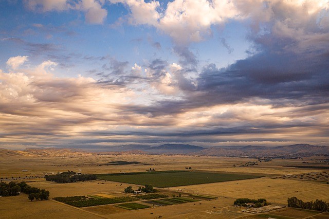 Featured image for “Google Cloud has partnered with Farmers Edge”